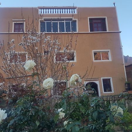 Les Jardins De Todgha Gorges De Todra Tinghir Hotel Aït Baha Eksteriør billede
