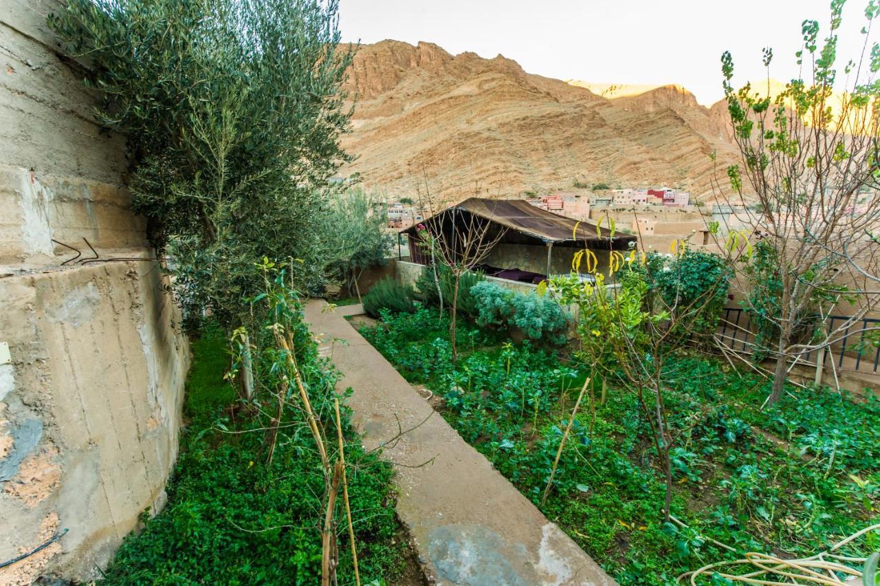 Les Jardins De Todgha Gorges De Todra Tinghir Hotel Aït Baha Eksteriør billede